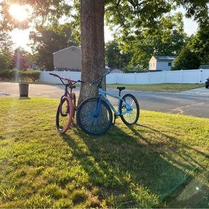 Meet your Posher, Donald